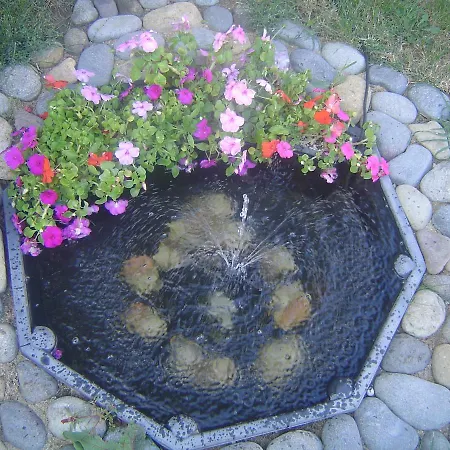 Dimovi Sozopol